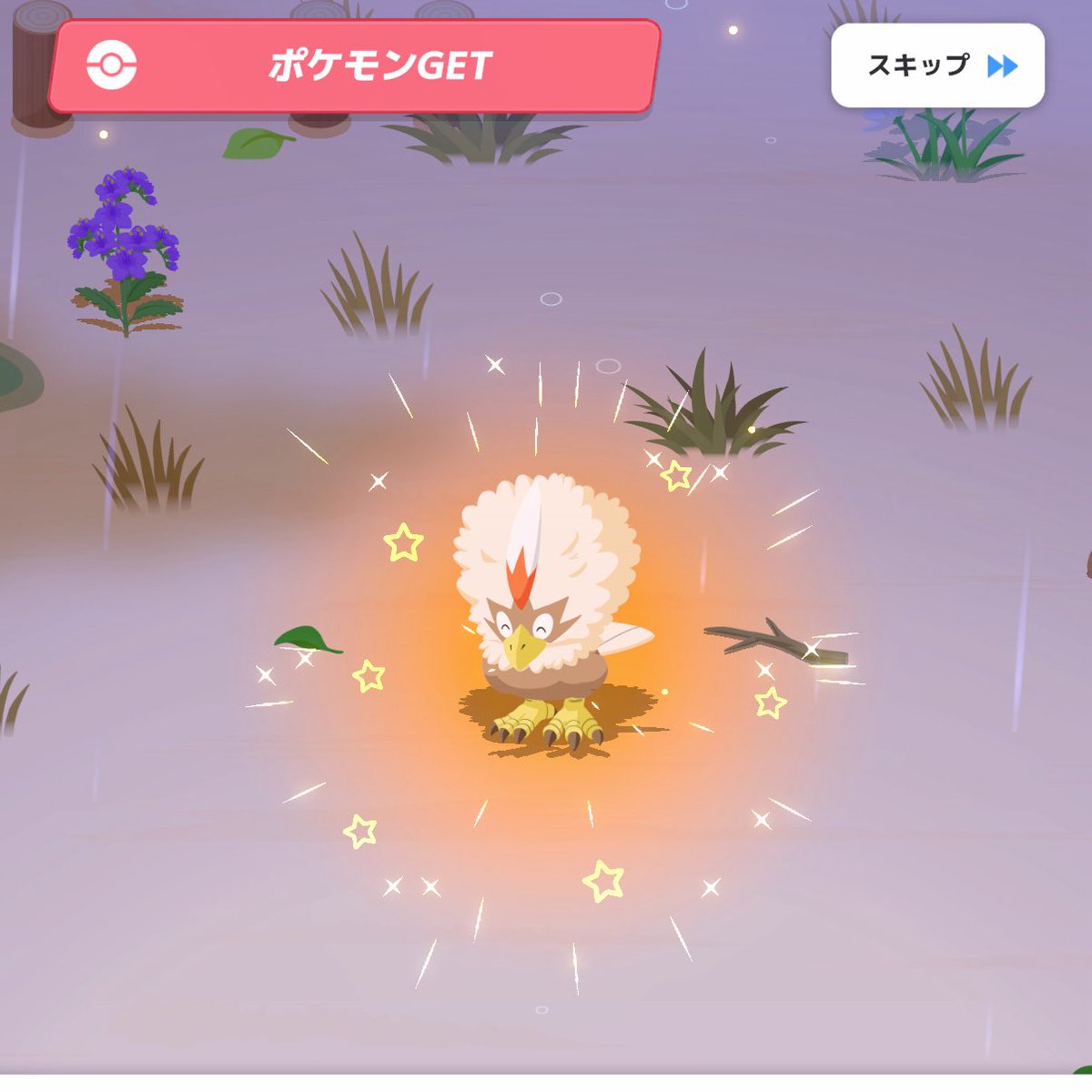 ぴ tweet media