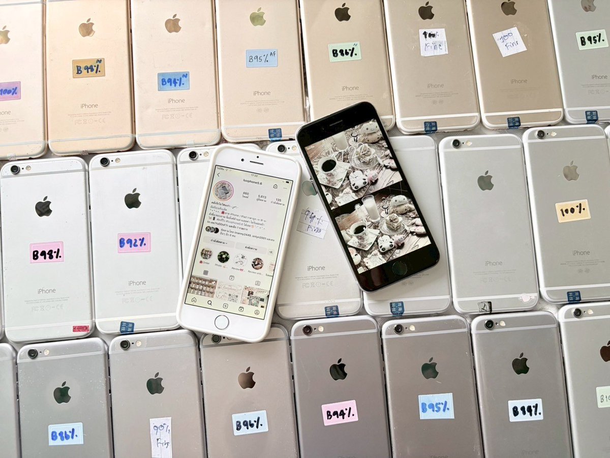 6_luvphone5's tweet photo. ⊱ꕤ⊰🪷 iPhone 6 16gb🦢890ส่งฟรี₊⋆.˚
2 ตัวขึ้นไป ตัวละ790฿

🪬รีโพสต์ ลด100฿ ตั้งแต่ตัวแรก!

WiFi -Sim
•ไม่ติดไอคลาว 
• คละสแกนกดได้ คละแบต
• รีเซ็ตได้ตลอด
กล้อง แฟลช แอร์ดรอปปกติ

แถม  เคส ของจุกจิก🤏🏻🎀
⚙️ประกัน 3 วัน
#iphone6 #ส่งต่อไอโฟน #ส่งต่อมือถือ #ไอโฟนมือสอง https://t.co/cmF9fqSYqF