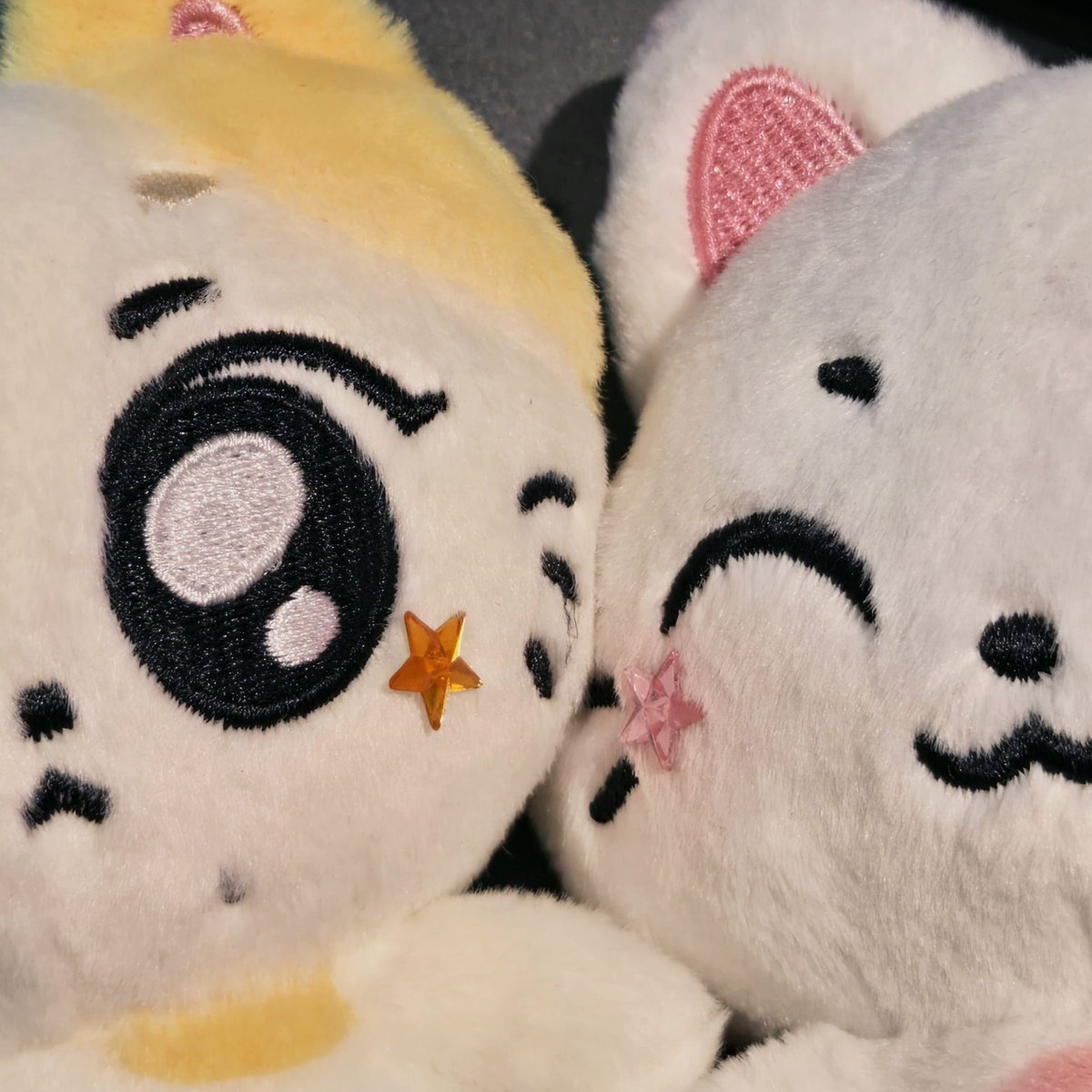 fuuyuuxx's tweet photo. kishu &amp; wonchu ♡ 

#sunwon #pocketz https://t.co/Dx2H5PehmH