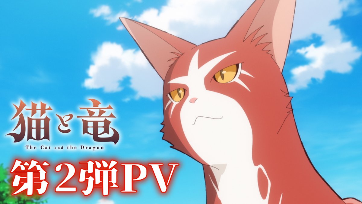 よっしぃ (@Yossie323) / Posts / X