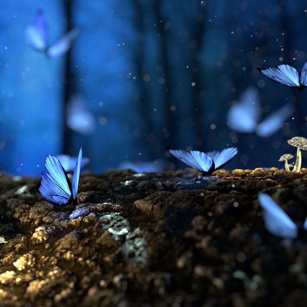 DenzelMatt0707's tweet photo. Dreams are seeds p=lanted in the emojiIconssoul’s soil. W19ater them with20 hope, they’ll41 bloom in time03 https://t.co/mgCXsb3V7V