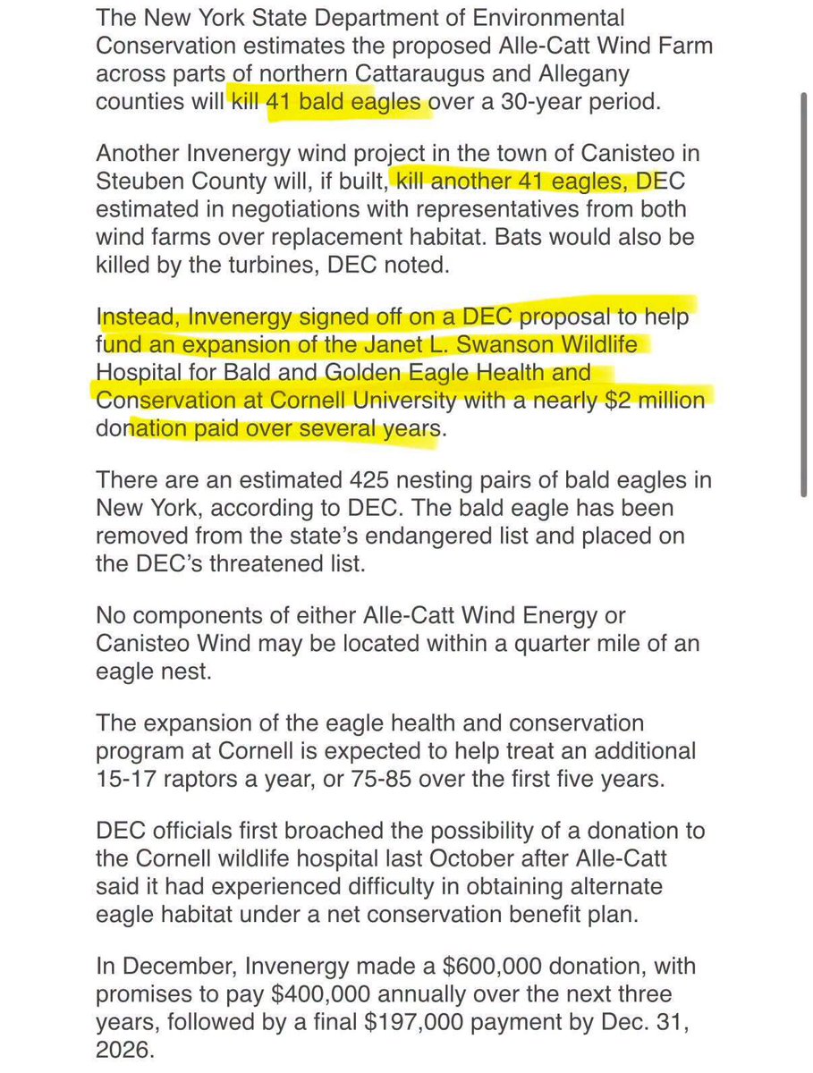 alex_fasulo's tweet photo. Here is your weekly reminder that Invenergy has admitted its Alle-Catt Wind complex in Western New York will kill an estimated 41 eagles in its lifespan.

In order to offset the eagle "carnage," New York is allowing the corporation to pay $2 million to @Cornell for mitigation.

Cornell is the same university that helped restructure our state's Mineral Soil Groups (MSGs) that downgrade what's considered prime USDA farmland.

Better yet, our state's @NYSDEC has a dead eagle carcass shipping protocol so you can send in those mangled bodies and receive your mitigation payout!

If 41 eagles will admittedly die at one wind complex (it's undoubtedly more than that), and ORES has permitted 8 wind complexes for NY to date, that's around 328 eagles that will die in the name of "renewable energy."

At this pace, eagles will go entirely extinct in New York State if something isn't done to defend our wildlife.

These are sick, sick people.