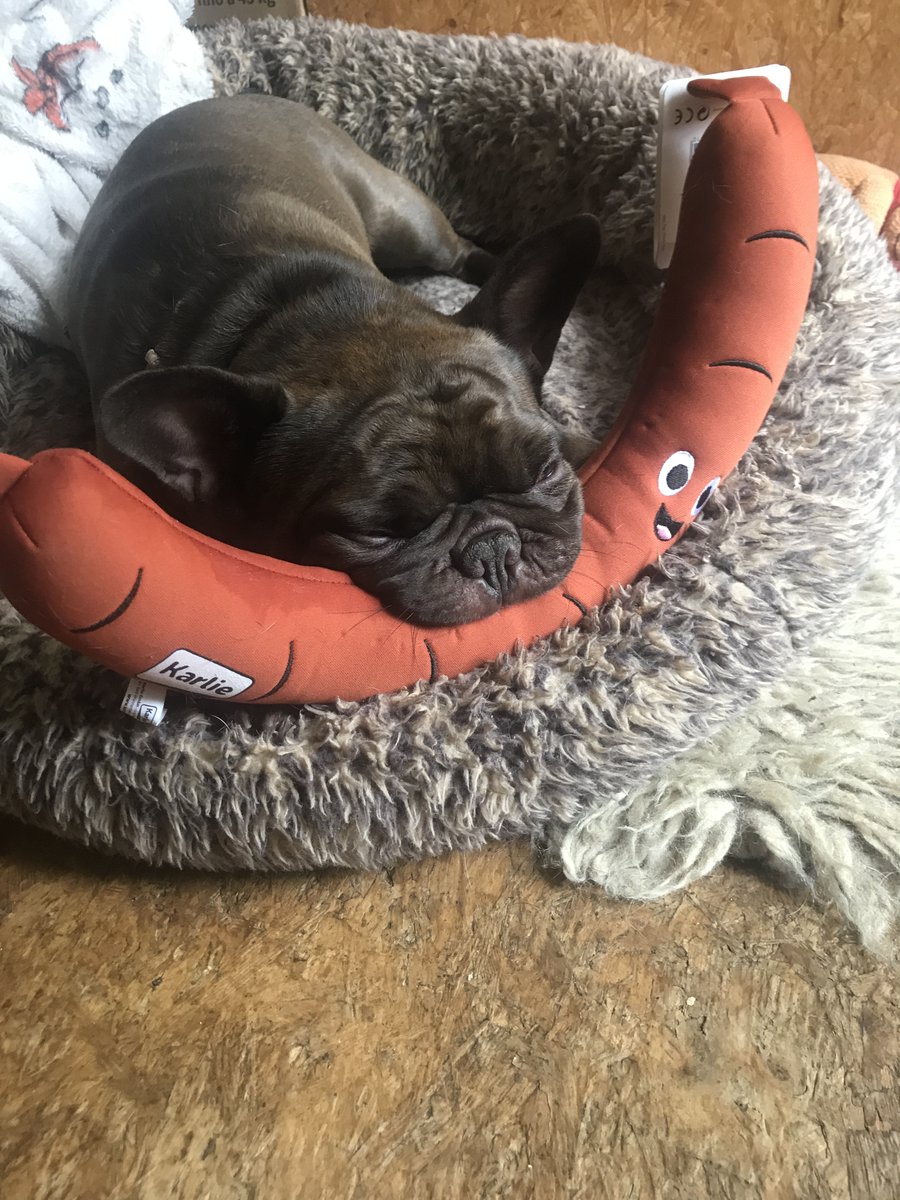 Ventil2110's tweet photo. #Quitte
Ich habse lieb meine Kühlwurst😄 https://t.co/SRkrkzKN3X