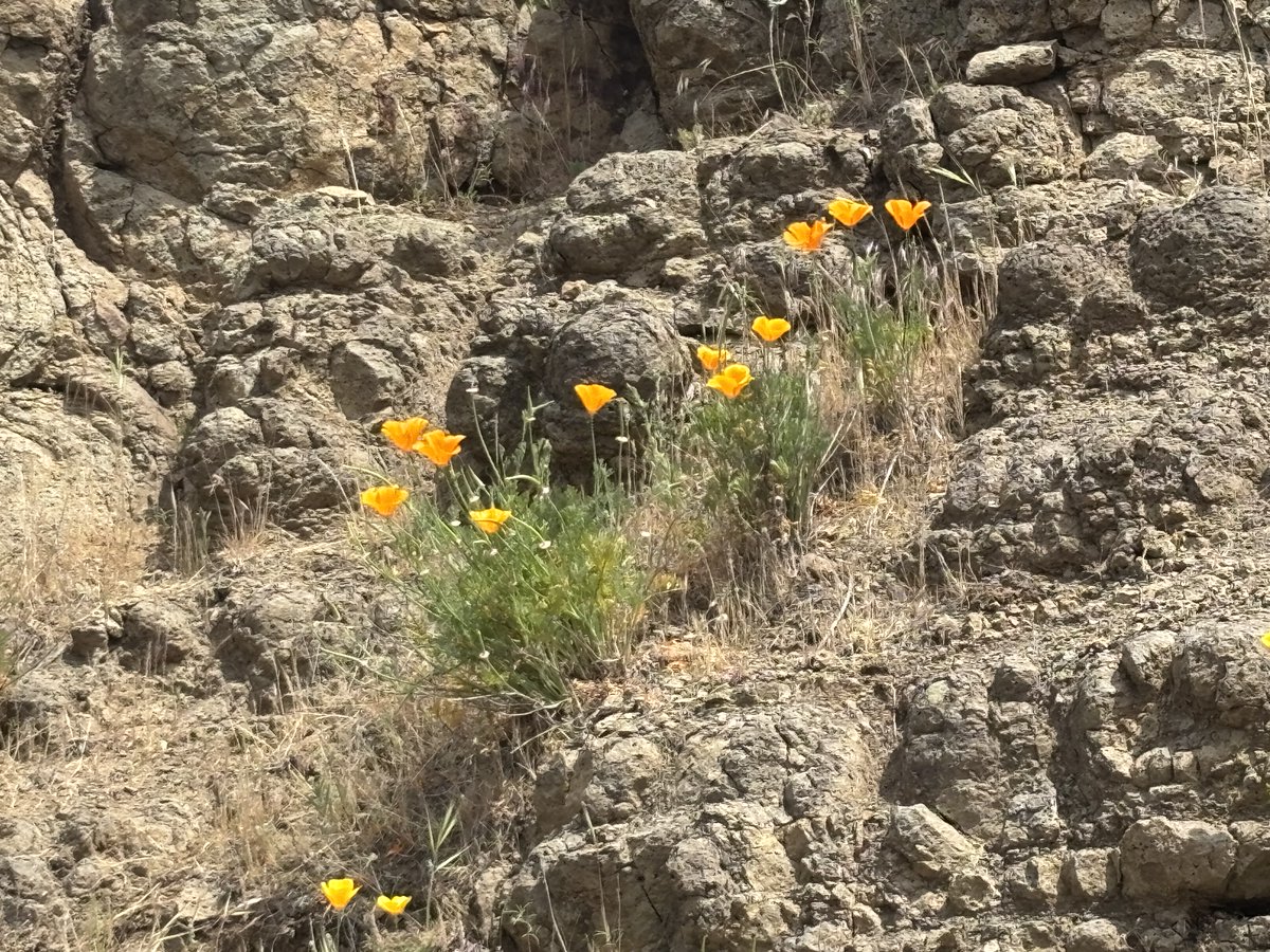 AuthorLindstrom's tweet photo. Storyteller's Journey - It's Summertime! #Blogging #newsletter #summerbreak https://t.co/3bSzeVSxj2 https://t.co/2Kn1syIbcI