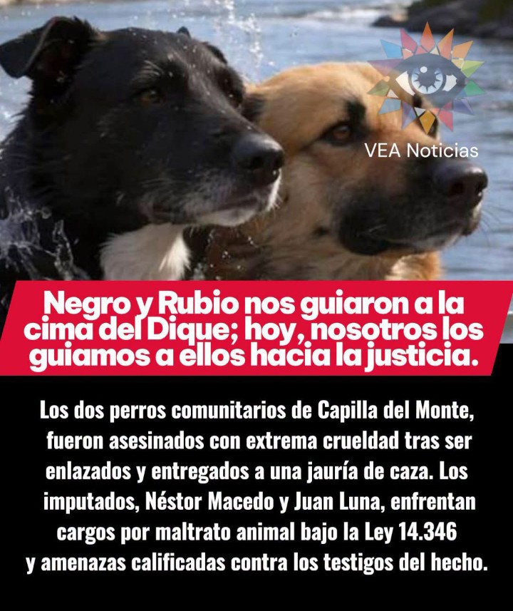 Vivia_atlantis's tweet photo. UN ABOGADO QUE REPRESENTE A ESTAS 2  VICTIMAS POR FAVOR!! QUE RECIBAN PENA EJEMPLO #justiciapornegroyrubio https://t.co/4BlKlI651h