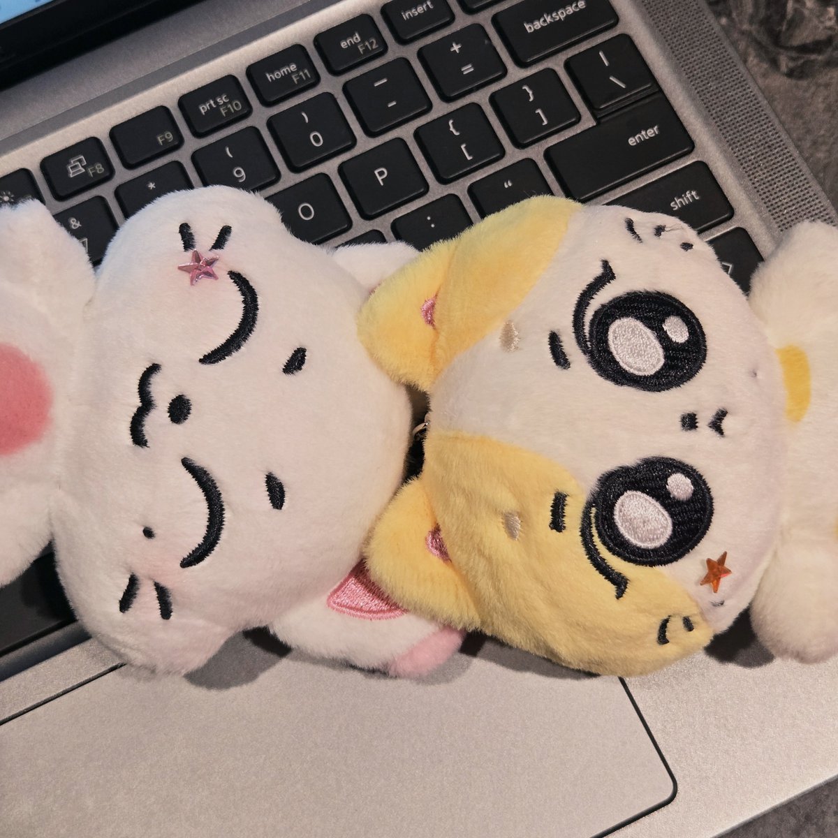 fuuyuuxx's tweet photo. kishu &amp; wonchu ♡ 

#sunwon #pocketz https://t.co/Dx2H5PehmH