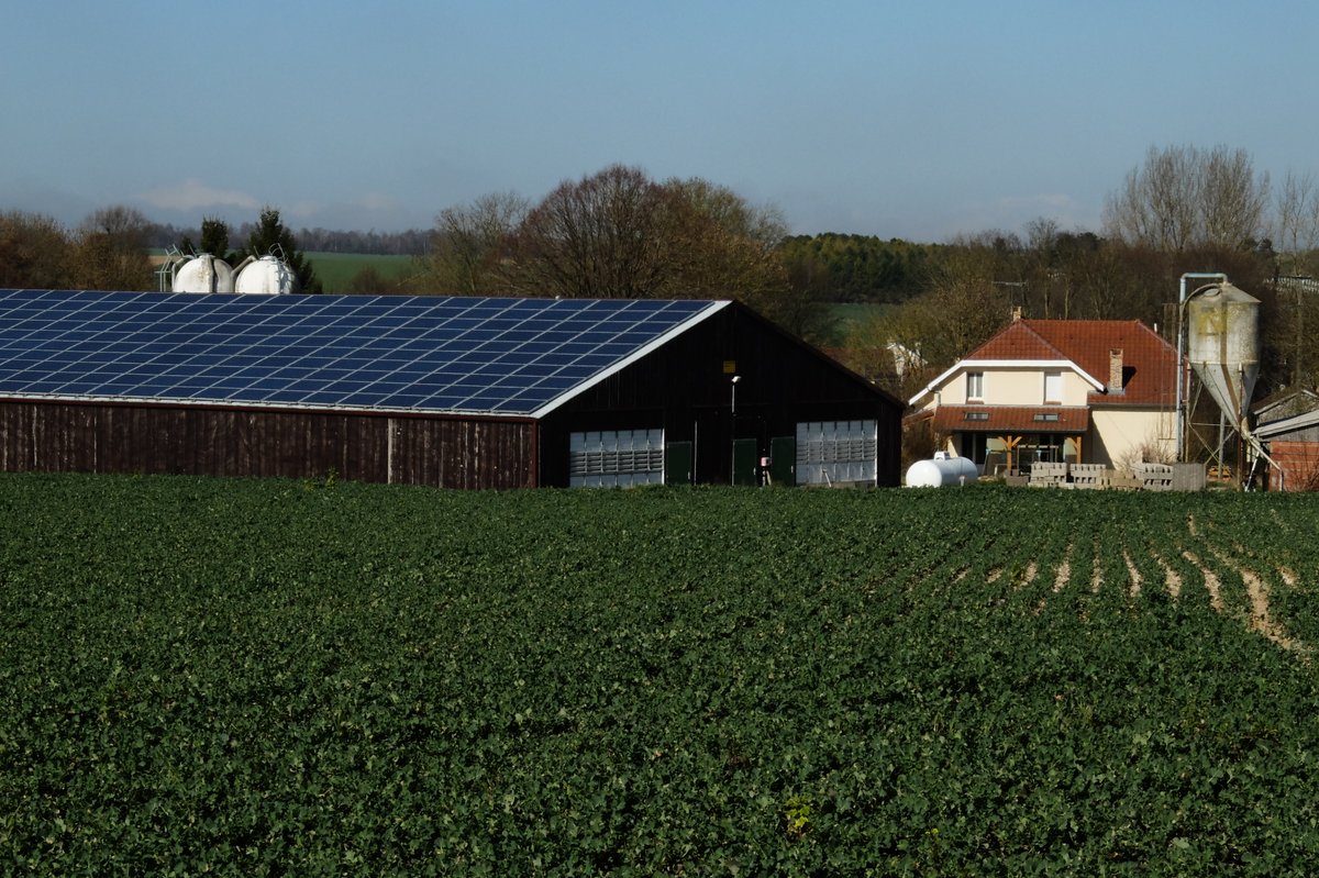EU_Rabbit_Asso's tweet photo. As Europe debates the future of its #FoodSystems, #LivestockFarming remains a strategic resource for #FoodSecurity, rural development and economic resilience. The focus should be on supporting a more #sustainable, innovative and competitive sector.
👉 https://t.co/wjl8kaVNJY https://t.co/68OVIe4ymF