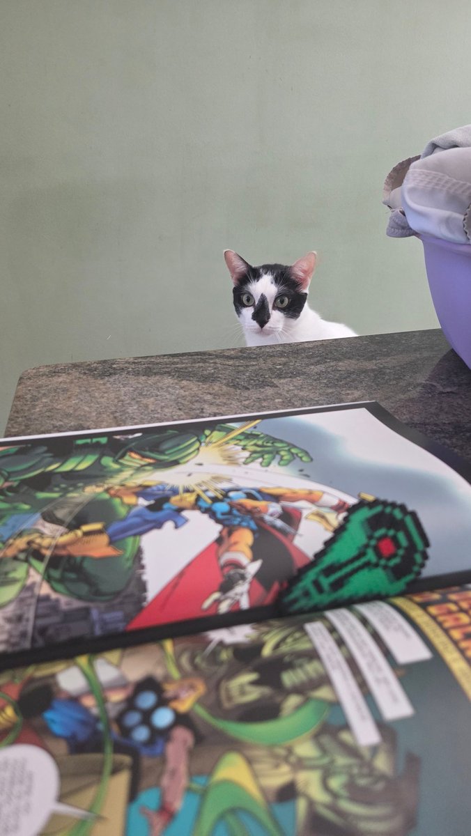 1bvsf's tweet photo. Lendo Thor com essa companhia https://t.co/RS0sDR0MyB
