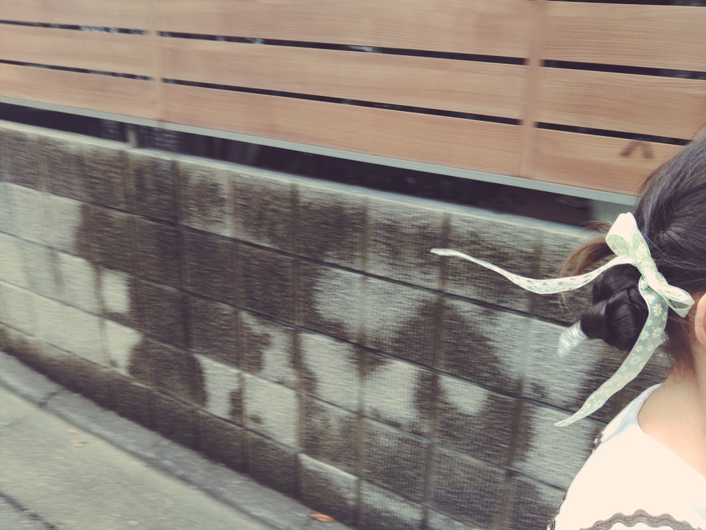 fuukacyou's tweet photo. 可愛いお写真が撮れた。でも撮りたいと思った瞬間は大抵カメラを持っていない。スマフォのカメラは便利だけれど、持ち歩き用に小さなデジカメが欲しいなと思う。 https://t.co/rPCdBWooGZ