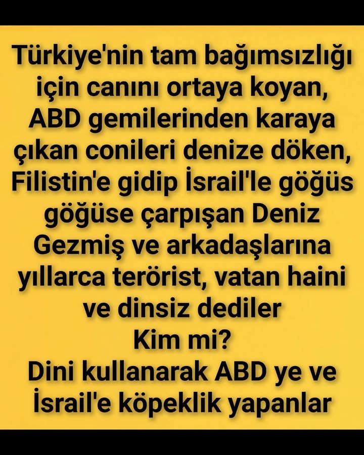 Selçuk tweet media