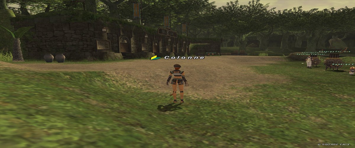 Cocotte_C's tweet photo. サードウォークのスタート地点のあたり～
ウィンダスとても広い！

トライアル期間は２週間しかないので、サンドリアもバストゥーク？もジュノも行けなさそうw https://t.co/RI0PM4tnHx