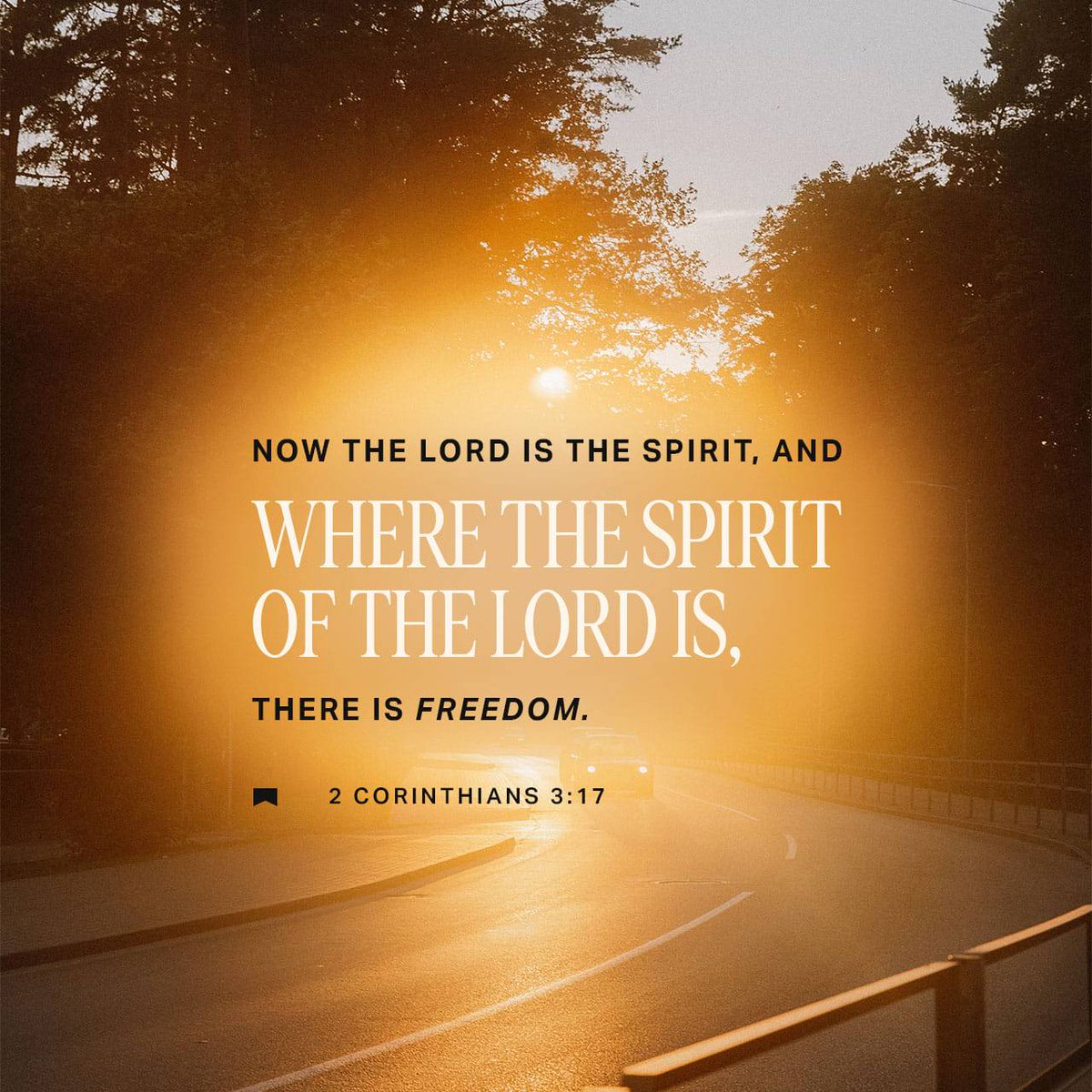 PromiseAviation's tweet photo. II Corinthians 3:17 NKJV
[17] Now the Lord is the Spirit; and where the Spirit of the Lord is, there is liberty. 
https://t.co/OIFjGvMwxy https://t.co/mIcjffU11d