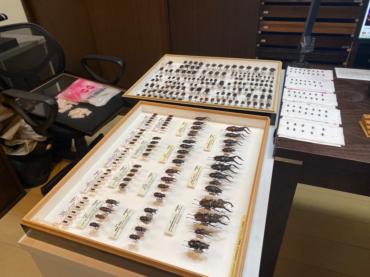 eggmoai_08's tweet photo. 仕事を終え、育児を終え（終わらない？）、家事を終え、ようやっと展示イベント準備、すべてはご来場者さまの笑顔のために…奮闘中です👊

土日は土日で、明日も早よからサッカー⚽️、リハビリ、法事、子どもらの習い事…と盛りだくさん😳 パパはまだまだ頑張りますよ〜👍 https://t.co/fjXiSfi34e