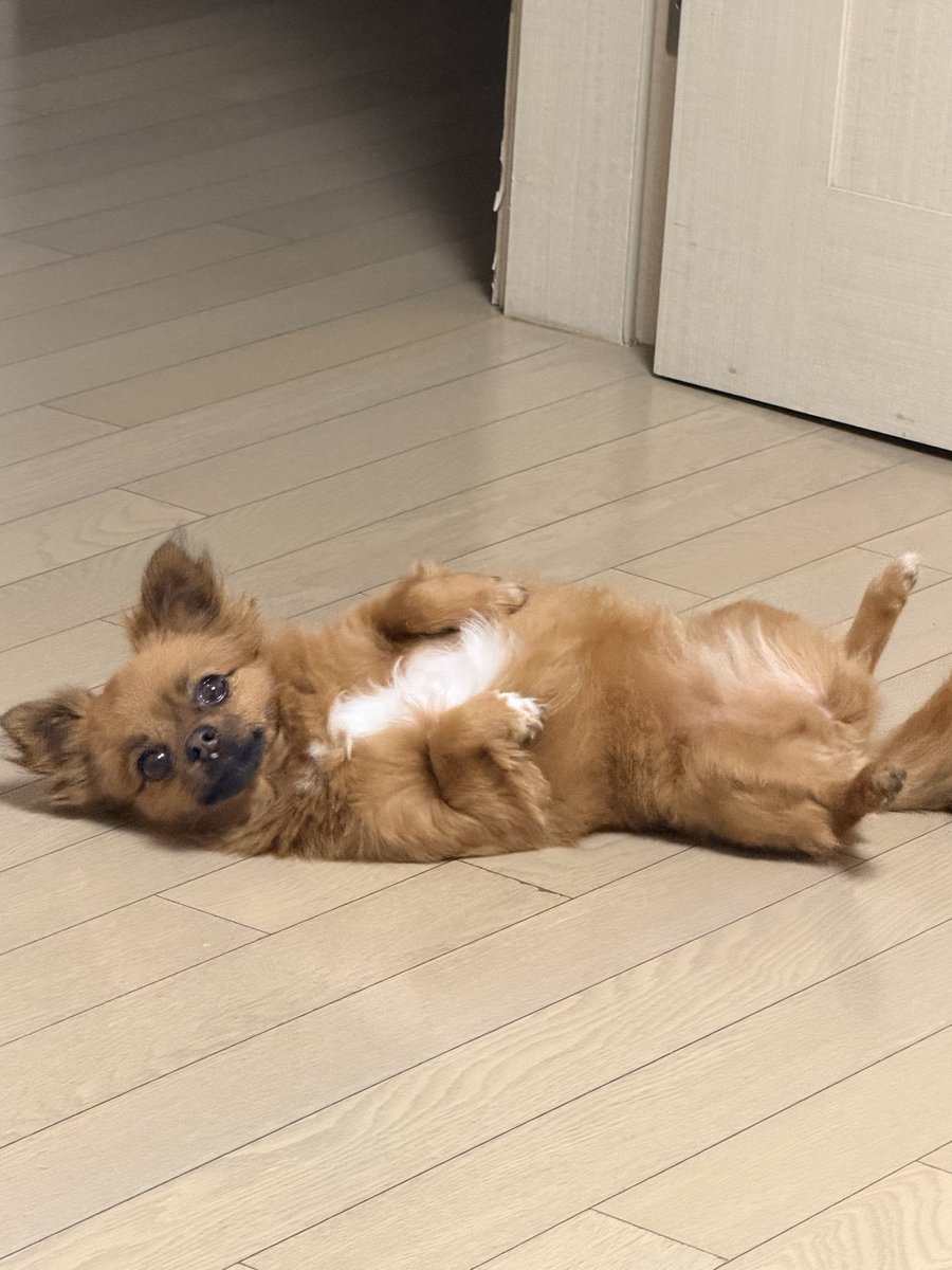 bborippk's tweet photo. 밤과 낮 https://t.co/XtnwC74SnY
