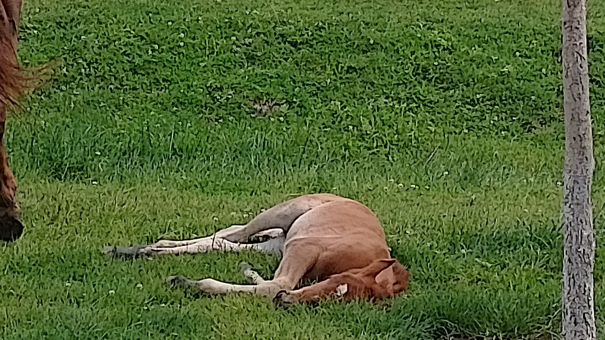 llluminare's tweet photo. little baby's sleeping. https://t.co/tKoSdCYfD5