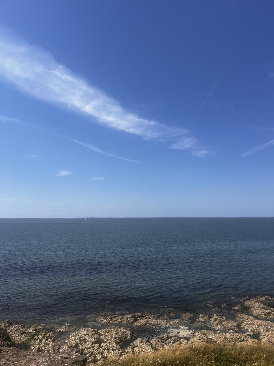 needelamer's tweet photo. @RektoFringues Non toujours dans la très diversifiée Loire atlantique https://t.co/5CLrySrBC7