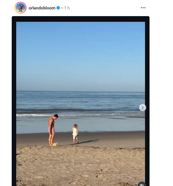 Nay tweet media