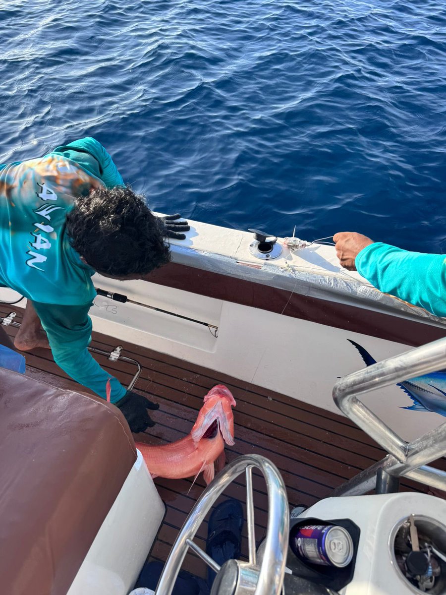 MAISAAN0's tweet photo. 😉🎣ޑަބަލްސް
@hdcmaldives 
@bankofmaldives 
@mifcomv 
@horizon_pvt 
@OceanWarriorsMV
@Portmv
@Dhiraagu 
#Masrace  #WorldOceanDay2026
#teamavia https://t.co/ipwyLjsKtF