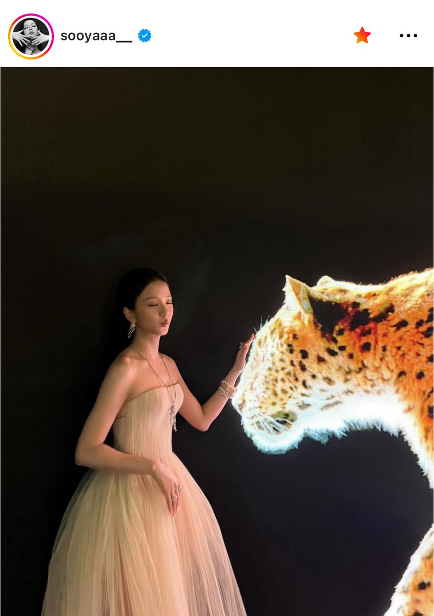 edixposts's tweet photo. JISOO with Zayn Malik promoting his album konnakol 🐆🤭 https://t.co/5kOMuzREru