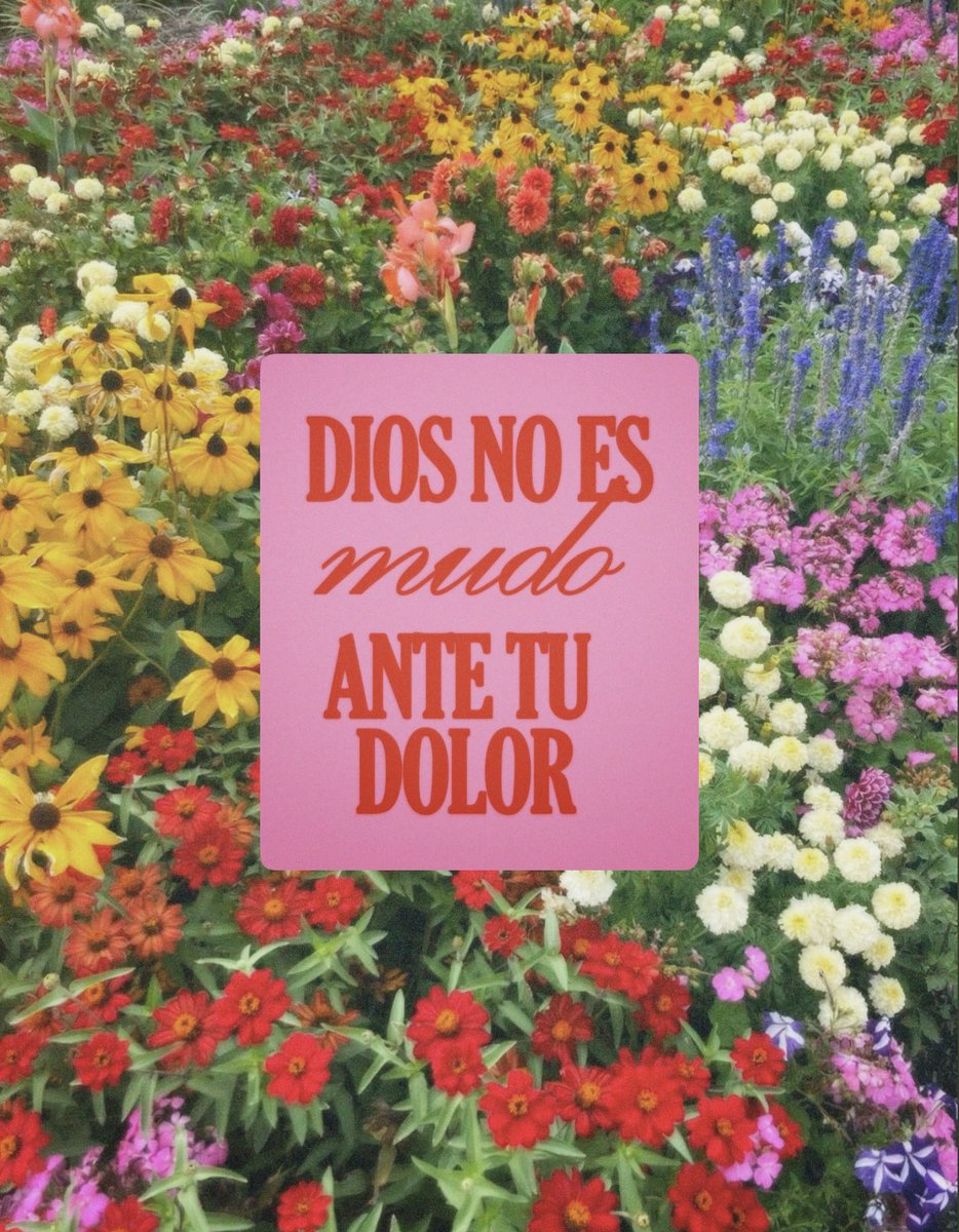 escritosnacion's tweet photo. https://t.co/9UEOPowv3H