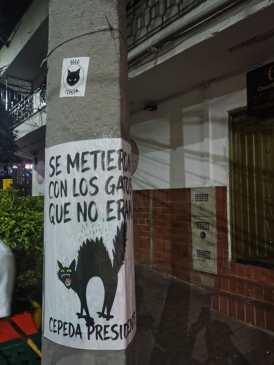 valentinabz's tweet photo. Se metieron con los gatos que no eran. https://t.co/QCCBR6KoiZ