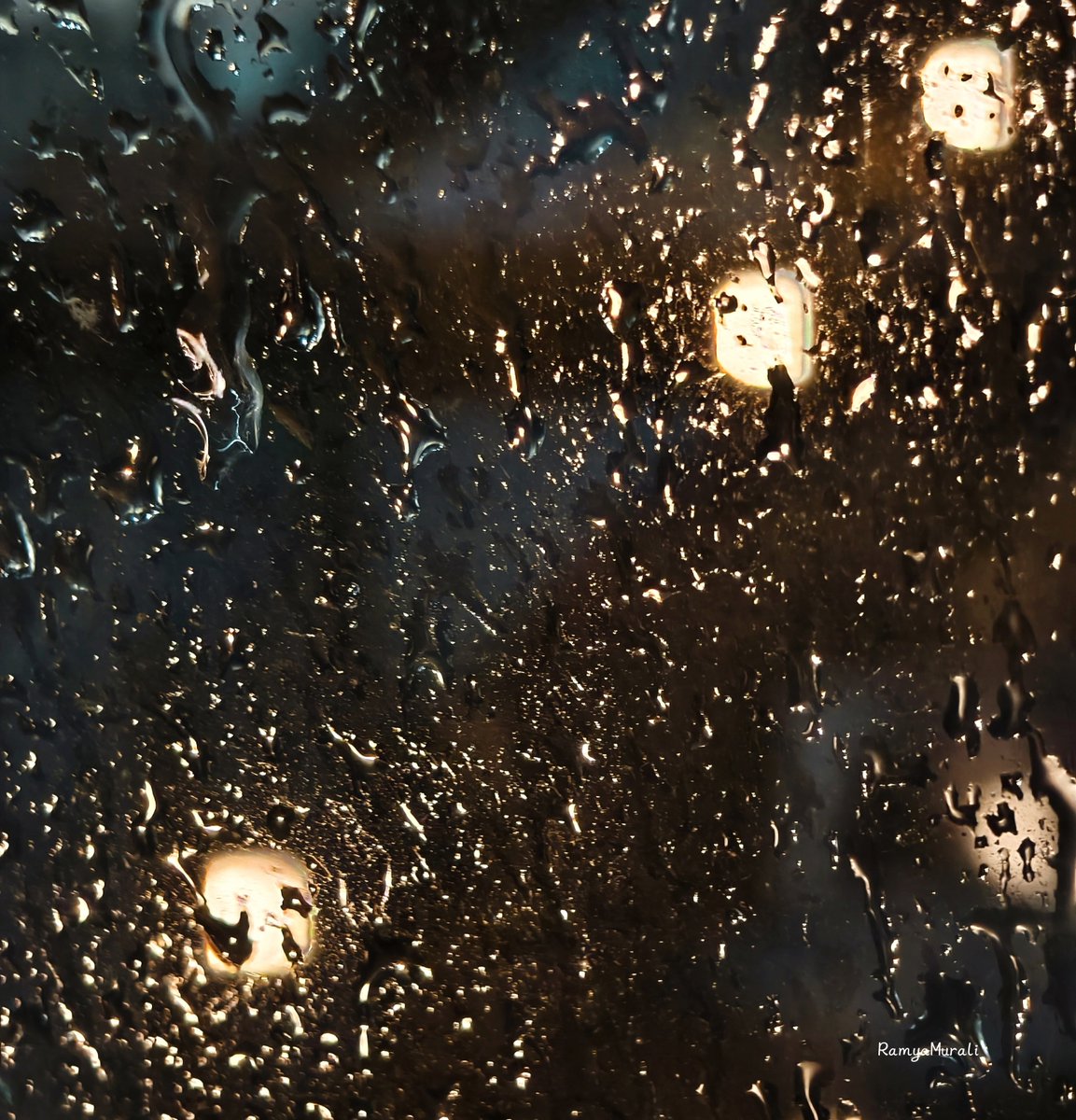 drramyamurali's tweet photo. Beauty through blurred views..✨
Share your photo of rain drops💧 https://t.co/CcRtIdU7Ko