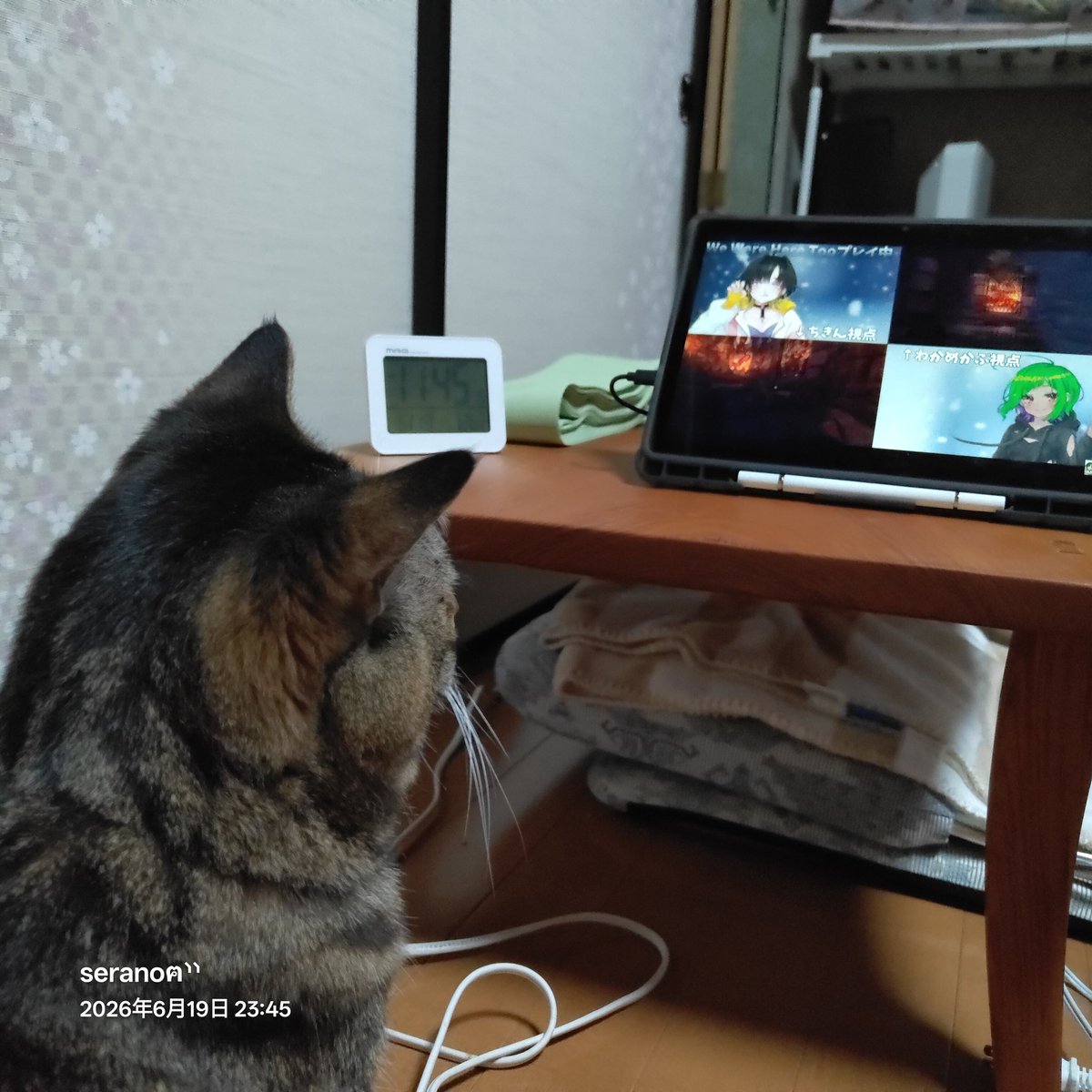 GE_skull2's tweet photo. 私より わかめかぶちきんのふたりに夢中かもネー。🤣  ̖́- https://t.co/OdiHv6RsdY