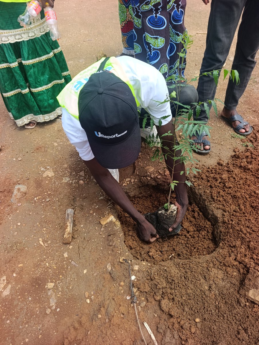 cctfcm's tweet photo. 🌳 Journée Mondiale de la lutte contre la désertification et la sécheresse au Lycée Bilingue de Guider !
Nous avons organisé une séance de reboisement pour sensibiliser la communauté éducative à la protection de notre environnement. Un petit geste pour un grand impact demain. 🌍 https://t.co/xfNKRAes0t