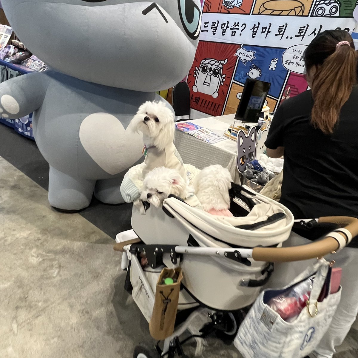 tengart's tweet photo. 私たちの初日が終わりました。
なんか食べのいくんです。
またあしたおあおしましょう。
来てよね!
#THEPOP #SUNGUTSU #てんぐアート
#アイモ堂 https://t.co/jm9c6Og15S