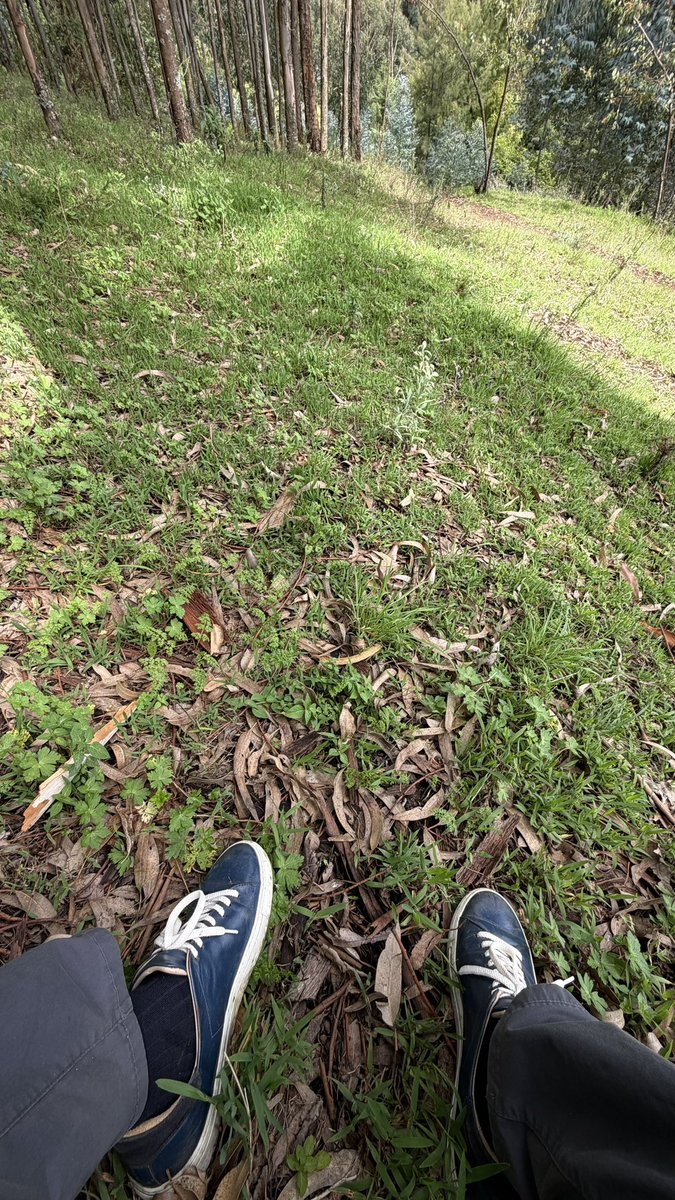 iamalexkamau's tweet photo. This week I did a big boy purchase - a piece of land next to the Aberdares my favorite place in the world 🥹

Never been this excited about a project. Time to build my first wood cabin 🏡✨ And maybe, just maybe, start saying goodbye to Nairobi. https://t.co/7ZXBkTZzyq