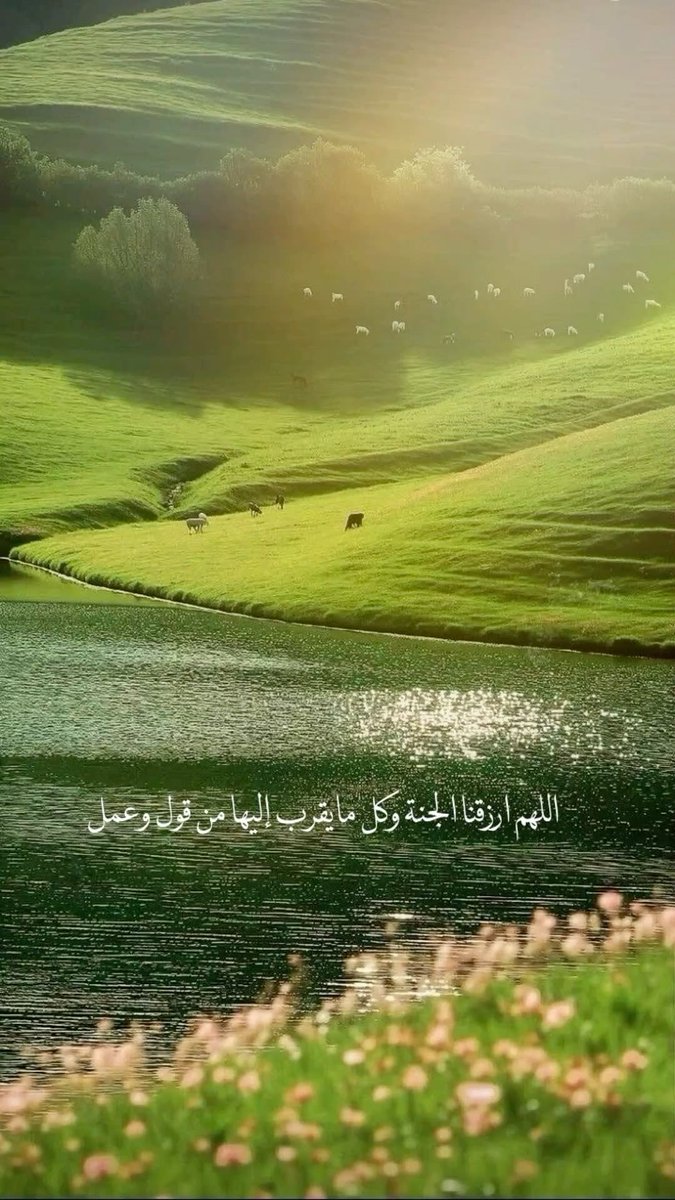 Haifa_3als's tweet photo. https://t.co/8KdVesy66k
