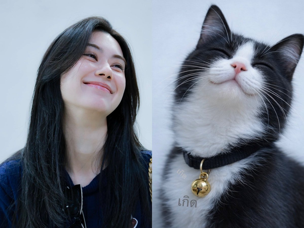 chiz_bot's tweet photo. LenaMiu as cats is something I never knew I needed 😽

🦋🧸

#LenaMiu #ลีน่าหมิว
#lalinalena #ลีน่าลลินา
#MiuNatsha #หมิวณัชชา https://t.co/ot9YJaF2l5