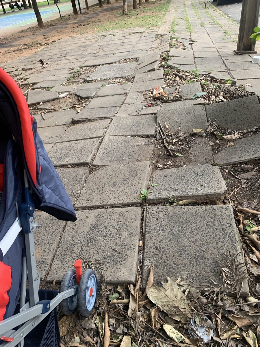 MarisolIrala's tweet photo. Que lindo es caminar por las veredas de Asu… https://t.co/wgsmZwqn23