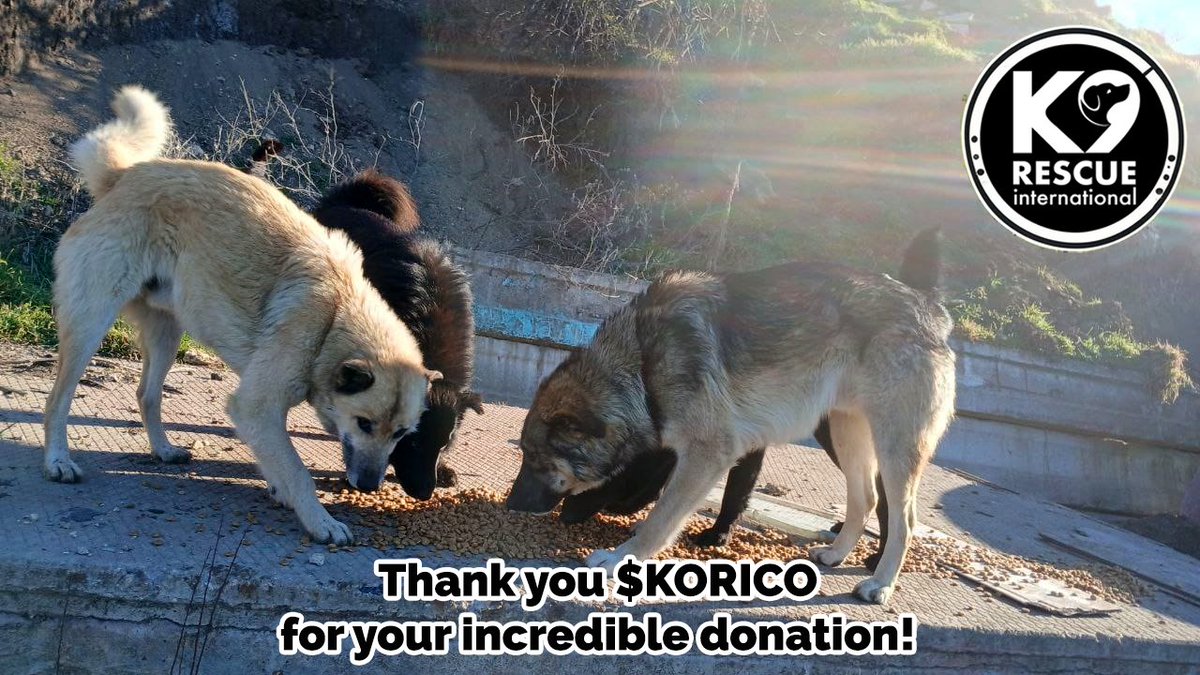 k9_rescue's tweet photo. Actions really do speak louder than words 💛🐾

A huge thank you to the @korico_BNB community for donating 1.01 BNB to K9 Rescue.

In today's market, this is a significant and deeply appreciated gift that will be converted directly into life-changing support for vulnerable animals 🍲🩺

Thank you so much for showing that building and growing a community can also mean giving back to those who need it most 🙏🐕🐈
 
#CryptoForGood #AnimalRescue #BNB