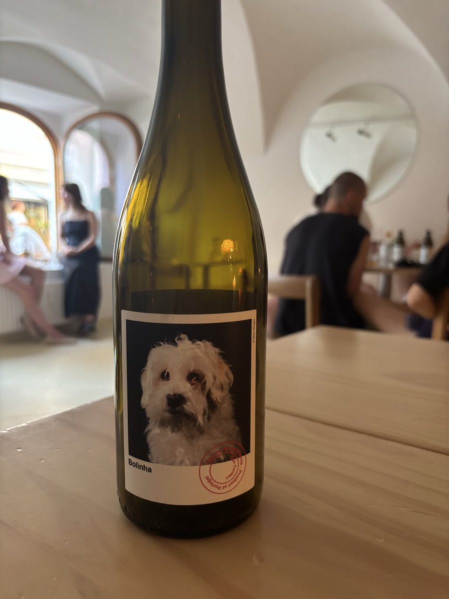 SandSnakeKate's tweet photo. I‘m such a marketing victim smh. 
Chose the wine with cute doggo on the bottle and it ended up being the most expensive on the menu. The person responsible for design knew what they were doing😂 https://t.co/Z8jr2539Bo