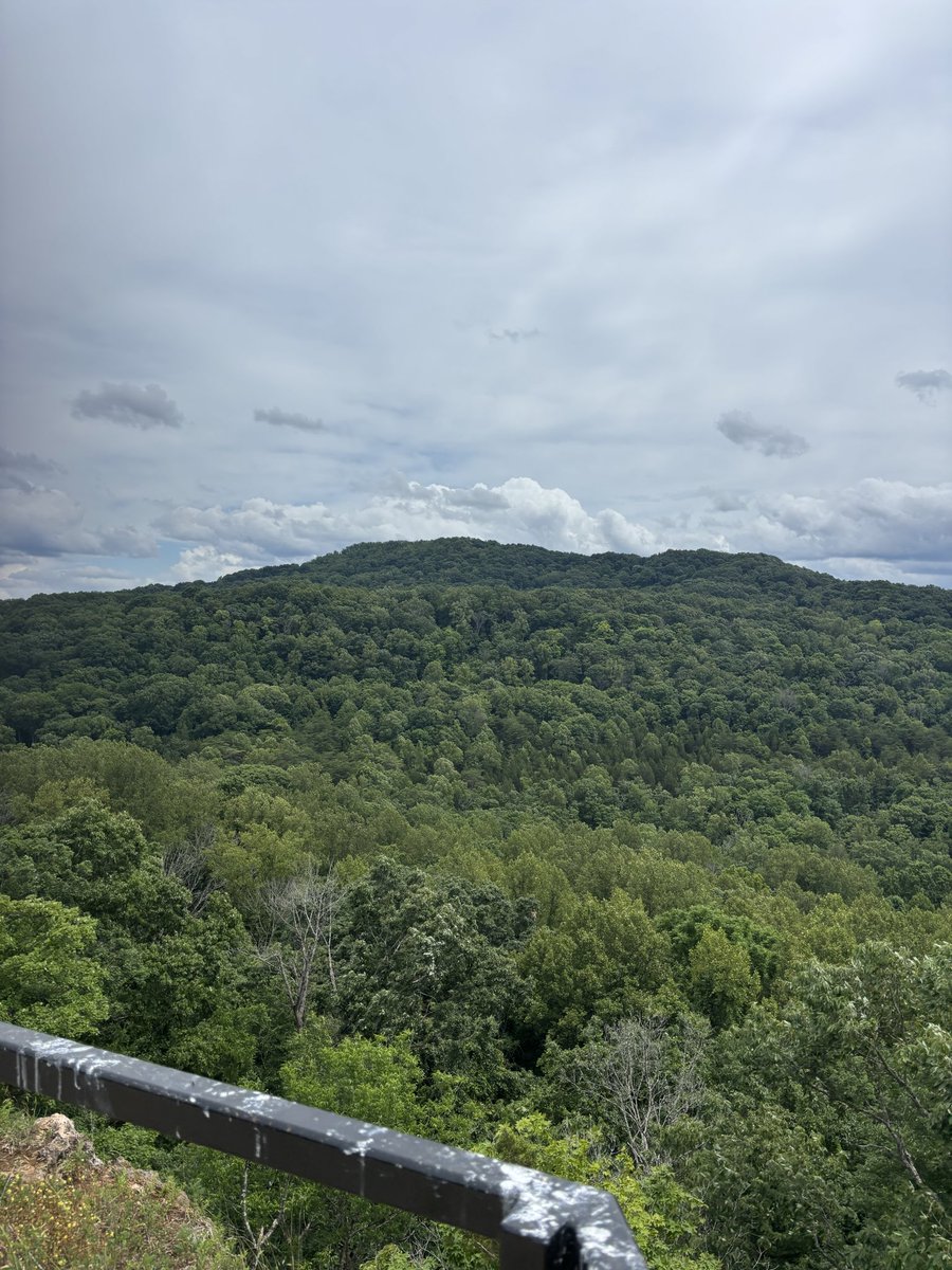 BrockPerk's tweet photo. The Japanese used to prescribe depressed people with “forest bathing”. The more I spend time outside the better I feel. A weekly hike is a non negotiable https://t.co/NOCUH1EI6R