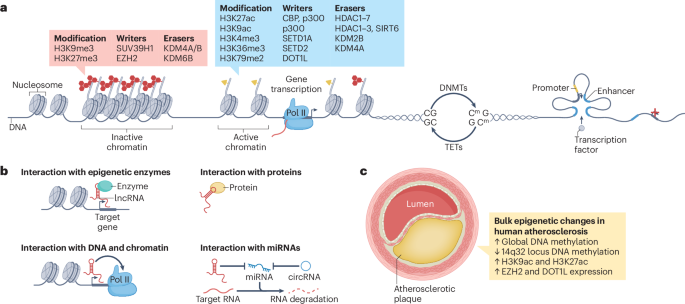 NatRevCardiol tweet picture