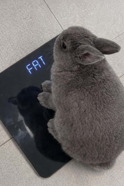 elcibuni's tweet photo. daily occurrence https://t.co/2ZxPHghP26