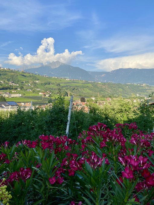 Mistress Youko妖湖🇯🇵Tokyo - 1 pic. I’m in the German speaking part of Northern Italy, breathtaking. https://t.co/6NEweSgVnR