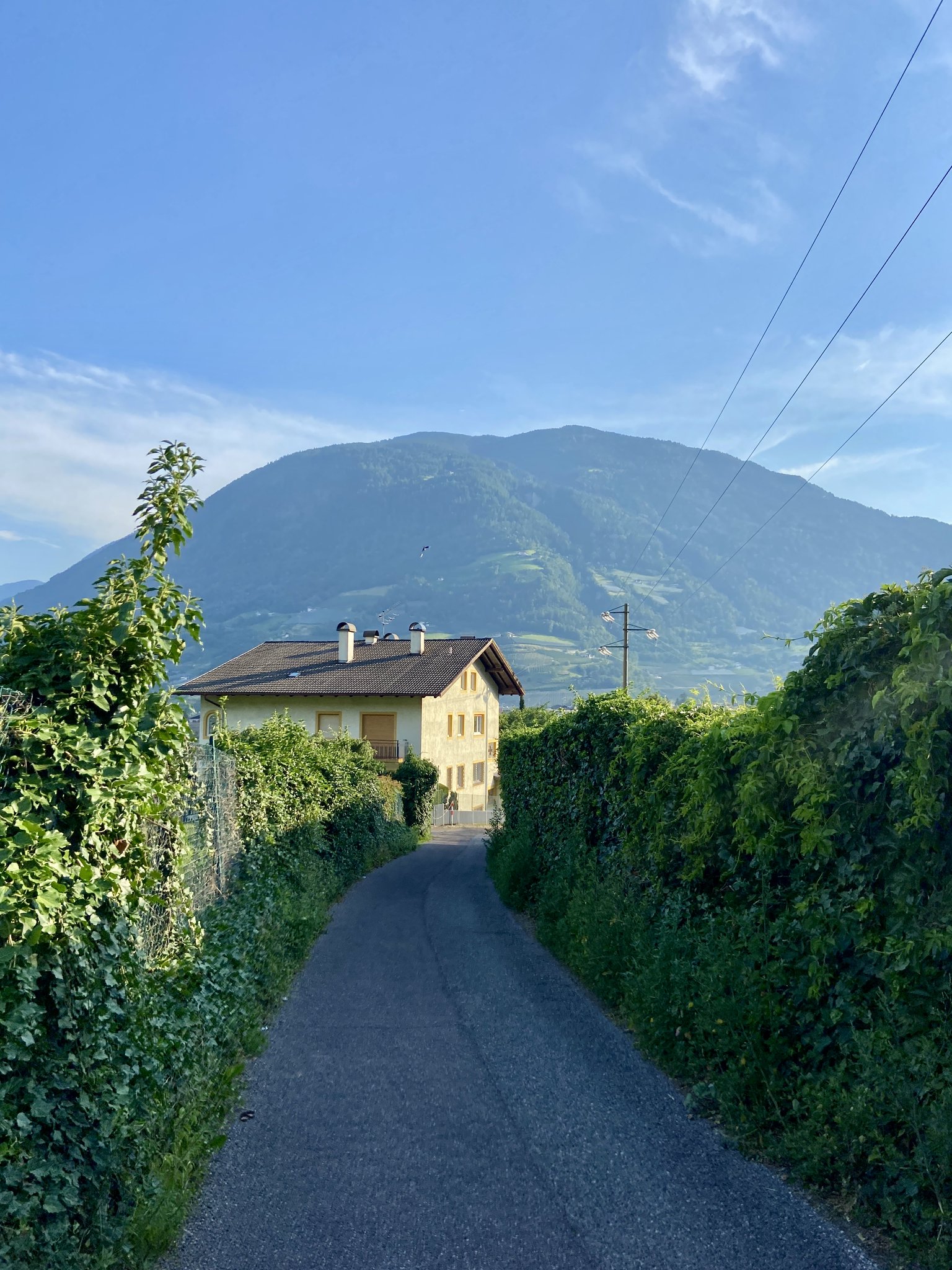 2 pic. I’m in the German speaking part of Northern Italy, breathtaking. https://t.co/6NEweSgVnR