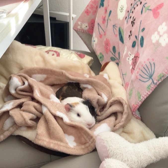 _mmimo_'s tweet photo. 全て https://t.co/Y9u0aJ1QxT