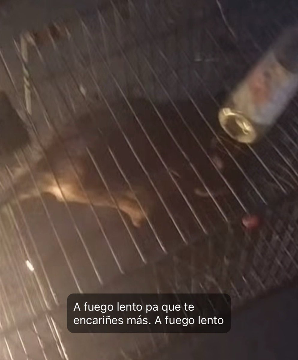 MorenaMia25's tweet photo. .@FGJ_Tam “A fuego lento para que te encariñes más” 
 Emmanuel Arévalo Tortura mapaches mientras graba para presumir en redes @MatamorosGobMx @PROFEPA_Mx @088_GN @Libro_negro_ @ArriagaLizzet https://t.co/VXyIOGzCRf