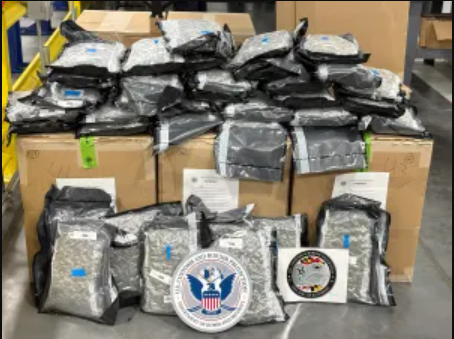 CBP's tweet photo. FIVE TON BUST: This isn't something you see every day!

Our diligent CBP Officers in Baltimore intercepted 10,000 lbs of Britain bound marijuana.  

The criminal drug traffickers who attempted to smuggle this are out of tens of millions of dollars in potential profit.  

Read more about this incredible seizure here: https://t.co/wDeHJYD1Zj