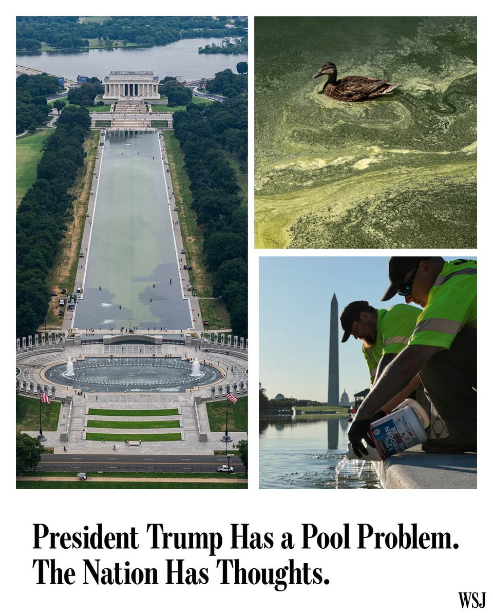 The Wall Street Journal tweet media