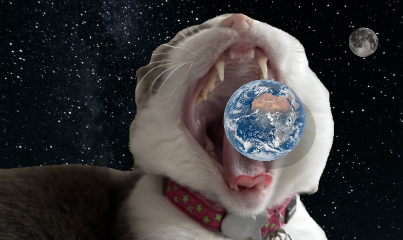 trackingvoid's tweet photo. @dew3ycat oh my goodness... https://t.co/LkuPmhD6qX