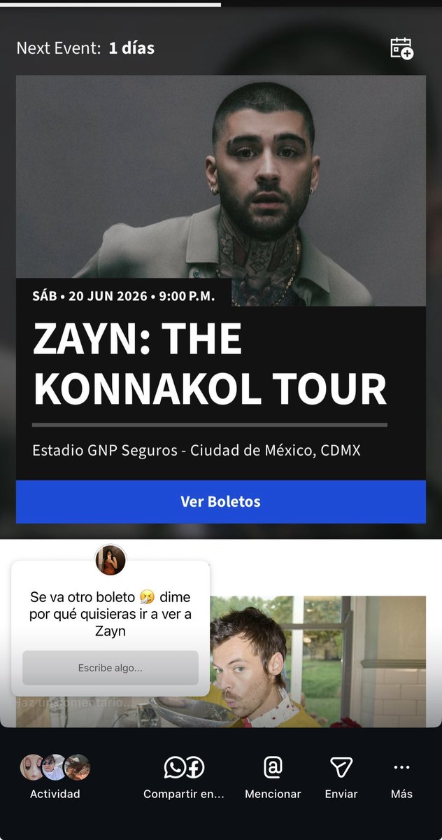 silvaanaavaz's tweet photo. En historias de Instagram les dejé una dinámica para que se lleven otro boleto de Zayn para la gente que no irá 🥺🫰🏻 https://t.co/P5OBOXQX8k