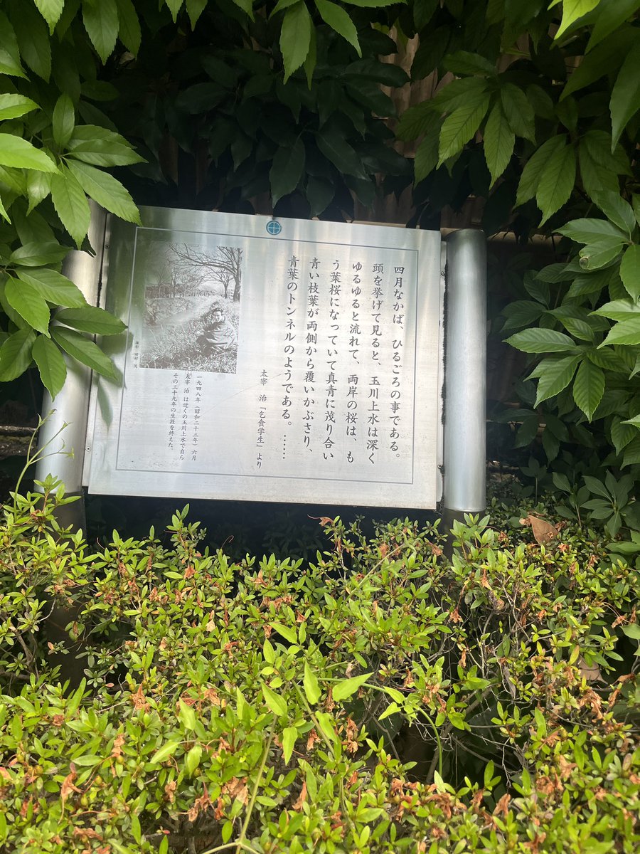15Nioh's tweet photo. 今年の桜桃忌は念願の三鷹で！
そしてなんとご縁あって川島幸希氏の講演「太宰治の署名本」に参加させて頂きました✨️
明日は生井先生の講演会にも参加するのにこんなに贅沢な休日を過ごして良いのか〜！という感じですが、太宰ファンとして、そし���卒論を太宰に捧げた元学生として https://t.co/g2OH7ufuax