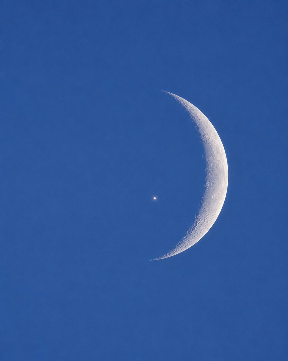 Moon tweet media