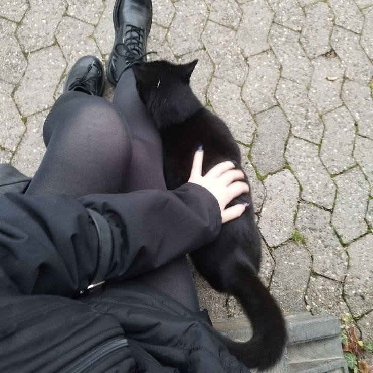 cramberries_'s tweet photo. "Kitty" https://t.co/WgA6Tpu5NW