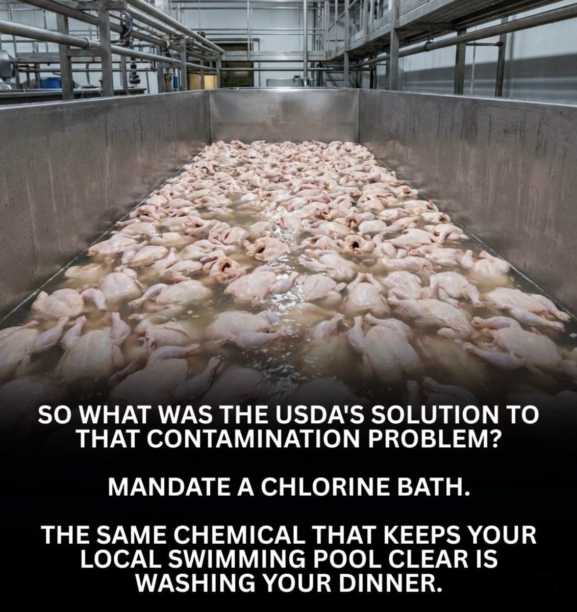 RL9631's tweet photo. 🔴 Here's the part nobody tells you. Around 97% of chickens 🐓 processed in the United States are bathed in CHLORINE before they ever reach your cart, and yes, that includes the certified organic birds you grab at Whole Foods or Erewhon. It happens because industrial farms process thousands of chickens in the same shared bath, so if a single bird carries salmonella, it can spread to the entire batch.
🔴 The fix our regulators landed on was a chlorine rinse, which is exactly why the European Union banned this process and walked away from it entirely.
The frustrating part is that companies aren't required to disclose any of this, so you genuinely have no way of knowing you're buying what some people call pool chicken.
🔴 The clean swap is simple once you know the words to look for, which are air-chilled and pasture-raised, because those birds are cooled in a cold chamber instead of a chemical tank, which means no cross contamination and no chemical residue. 
🔴 Share this information with everyone!